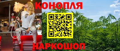 крисы Пыть-Ях