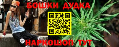 крисы Пыть-Ях
