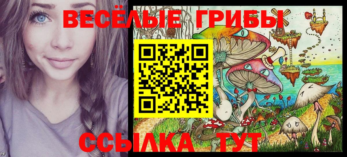 Псилоцибиновые грибы Psilocybe Новоуральск