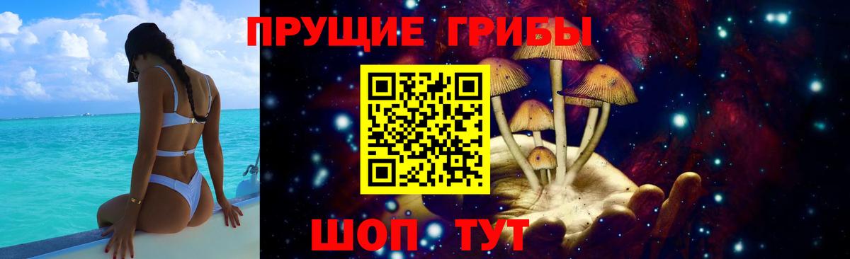 Новоуральск  Псилоцибиновые грибы Psilocybe  Вход с VPN  Галлюциногенные грибы мухоморы 